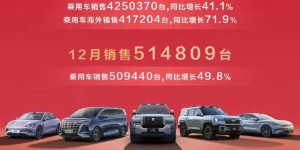 年销量超过425万辆，比亚迪再次刷新销量记录