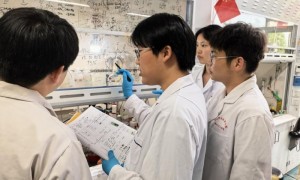 青年团队突破合成短板 工艺迭代实现高效降本